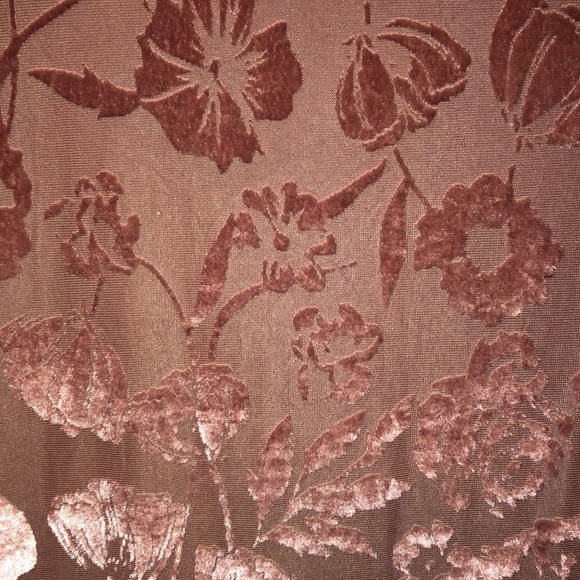 Velvet Sheer Bodysuit - Picture 4 of 12